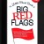 Big Red Flags In Dating and Relationships Book